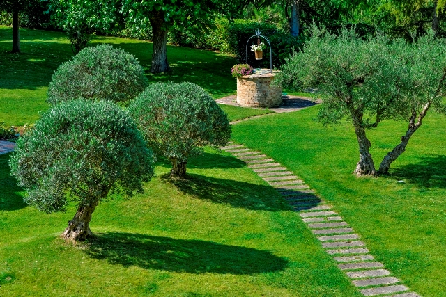 villa garden